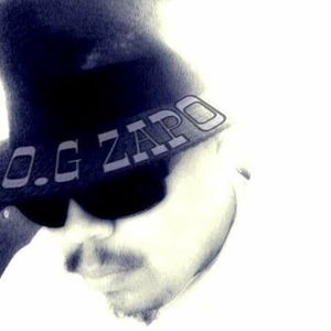 Meet your Posher, Alex zapp